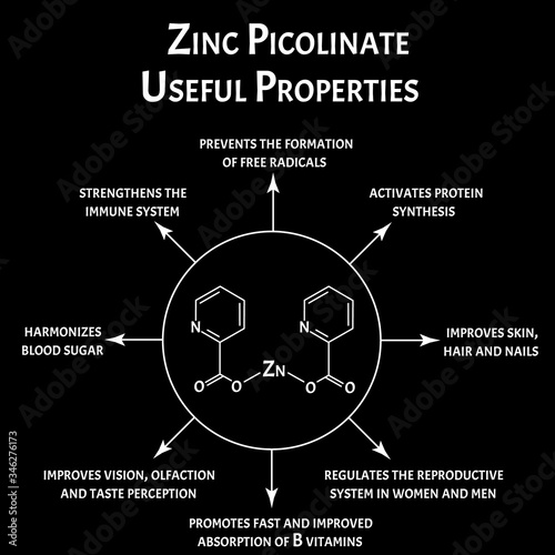 Zinc picolinate useful properties molecular chemical formula. Zinc infographics. Vector illustration. photo