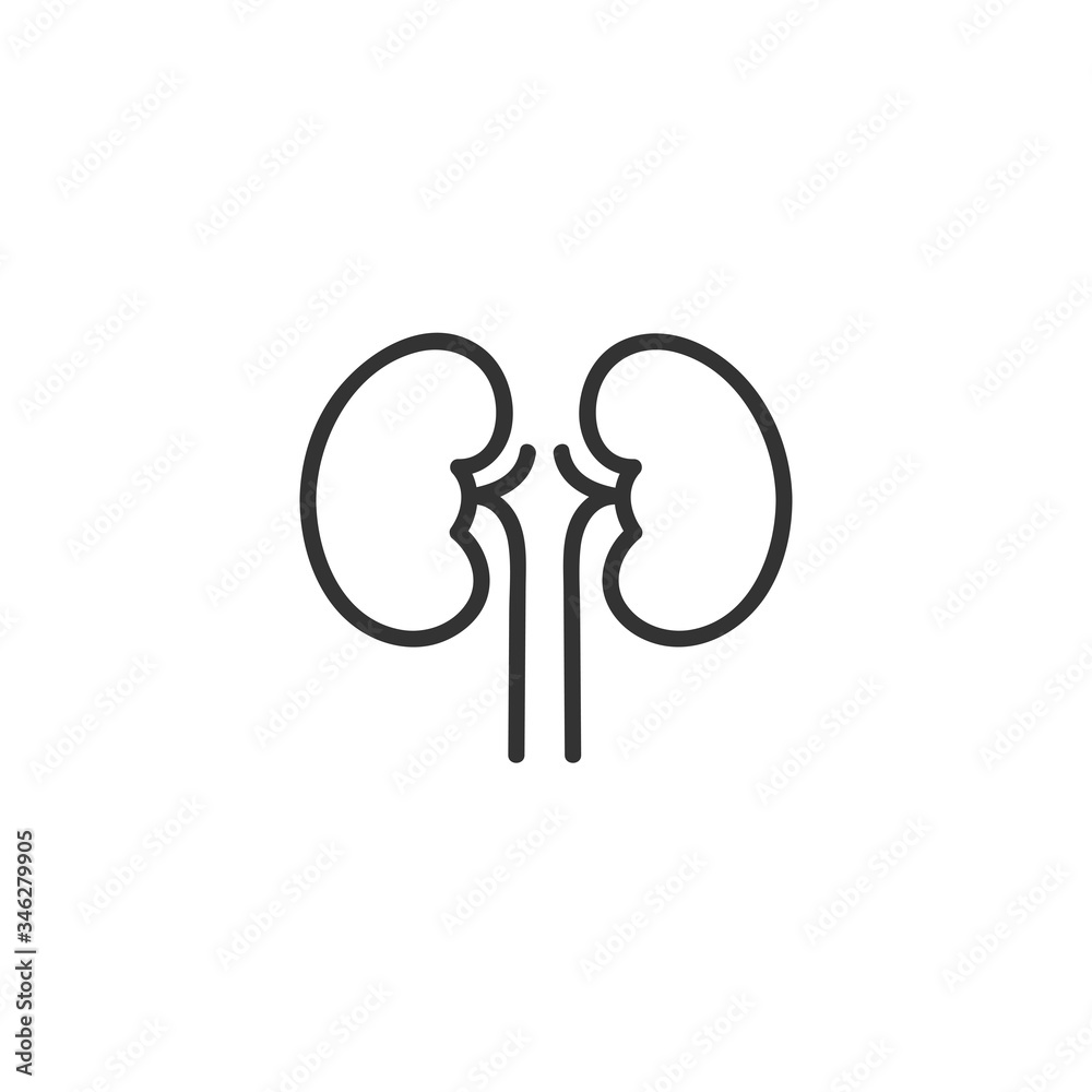 Kidneys - line icon. Simple outline style design. Vector illustration. Kidneys - line icon. Simple outline style design. Vector illustration.