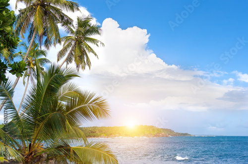 Tropical island in the Indian Ocean.