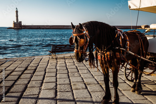 walking carriage with a horse on the promenade