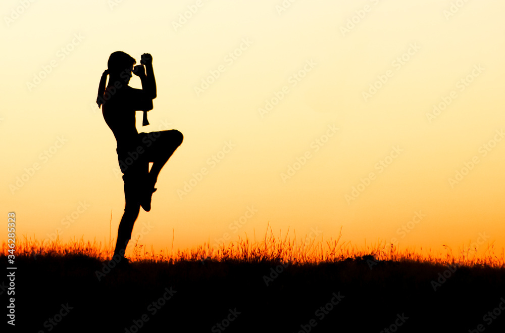 muay thai martial arts advanced training muay thai martial arts advanced training
