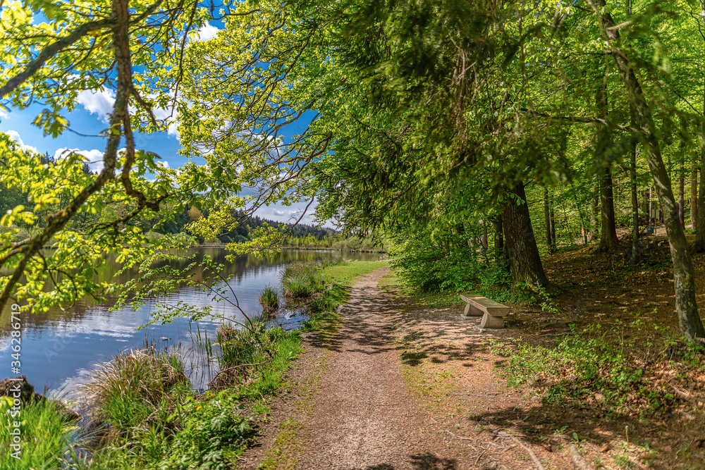 An old couple is walking through a beautiful park with a lake and reflecting blue sky with clouds in spring season. An old couple is walking through a beautiful park with a lake and reflecting blue sky with clouds in spring season.