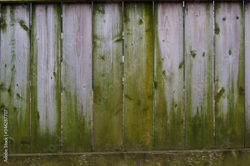 Closeup of Old Mossy Green Brownish-Grey Fence that it s Surrounding Enviroment has Overtaken