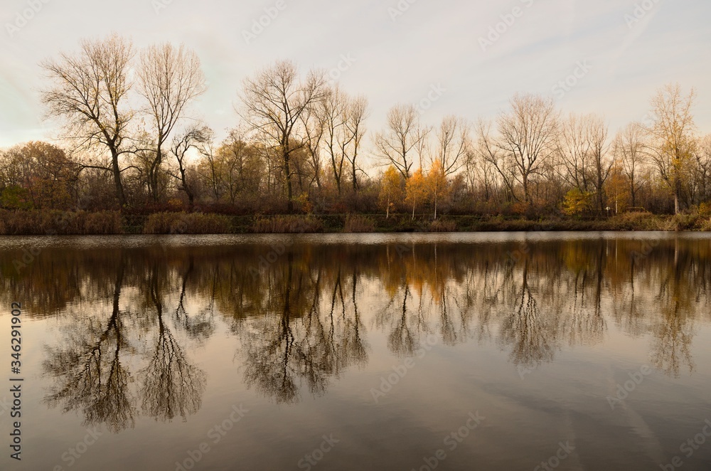 drzewa nad wodą