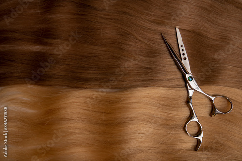 Professional hairdresser scissors laying on hair background.