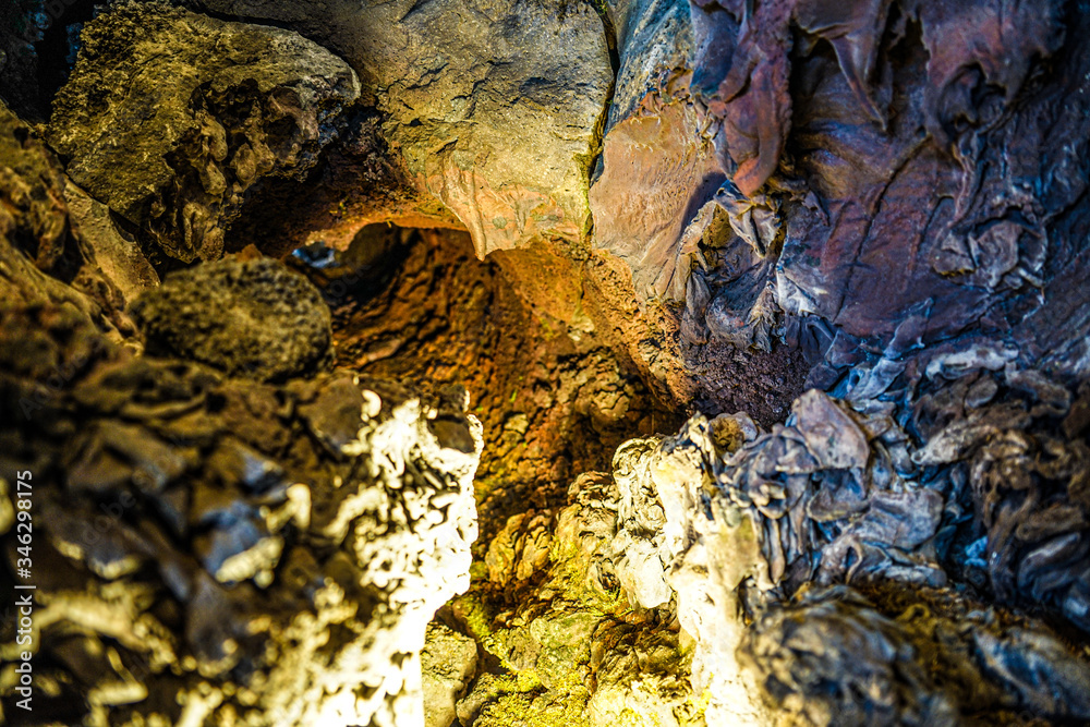 溶岩樹型洞窟探索