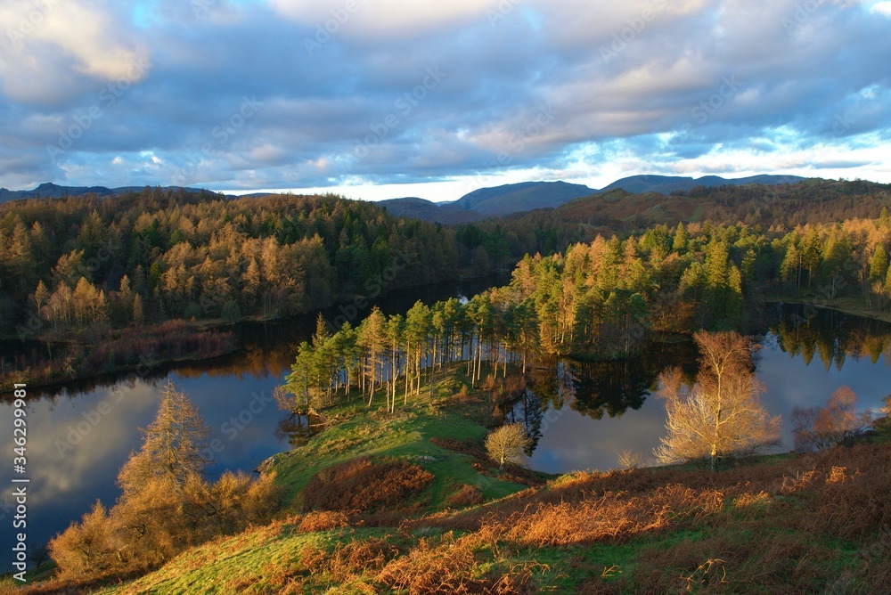 autumn at Tarn Hows in Lake District
