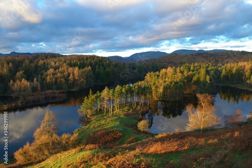 autumn at Tarn Hows in Lake District