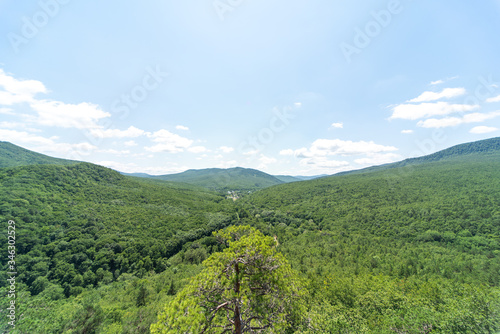 view of the green summer mountains