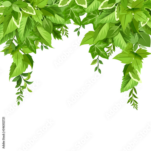 Vector background with various green leaves.