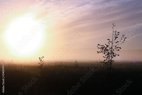 A misty sunrise over a meadow with multicolored clouds in the sky. Picturesque rural landscape  foggy morning. Color in nature. Beauty in the world