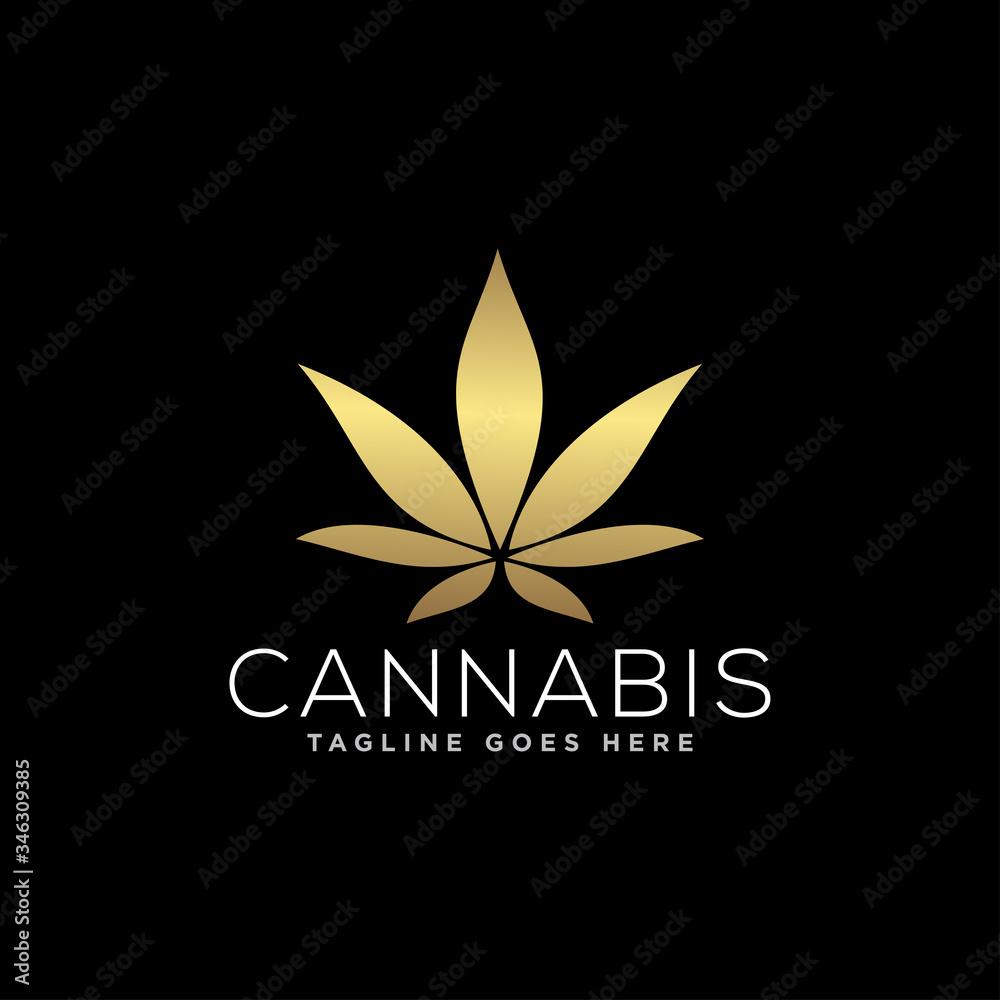 Cannabis or Marijuana Logo Design Vector Cannabis or Marijuana Logo Design Vector