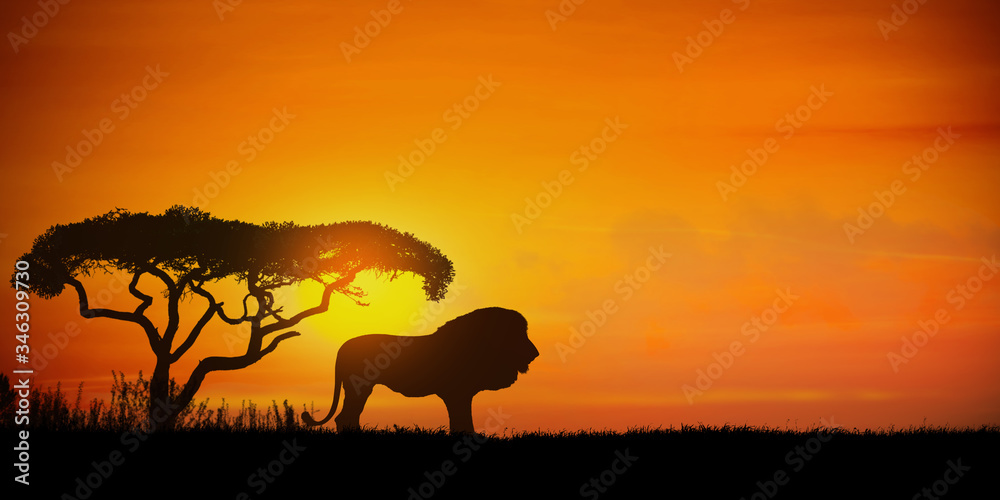 African landscape at sunset with silhouette of a lion