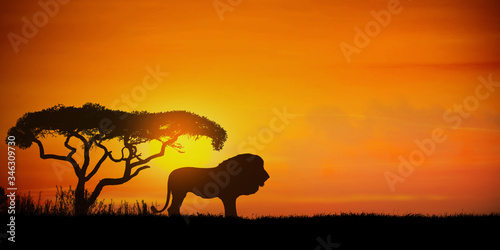 African landscape at sunset with silhouette of a lion