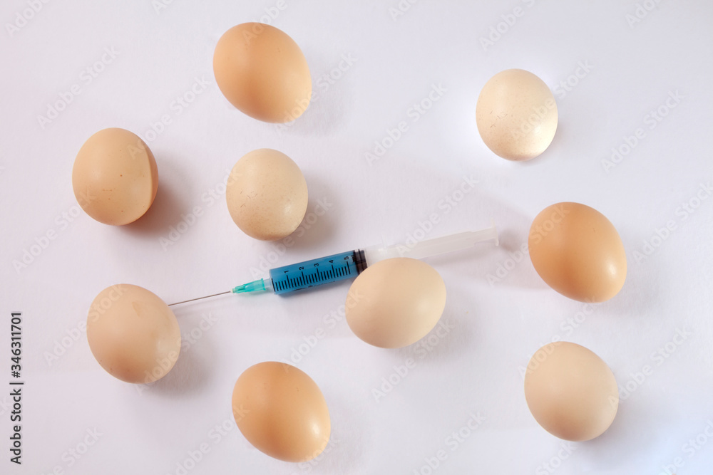 applying hormones to organic fresh eggs applying hormones to organic fresh eggs