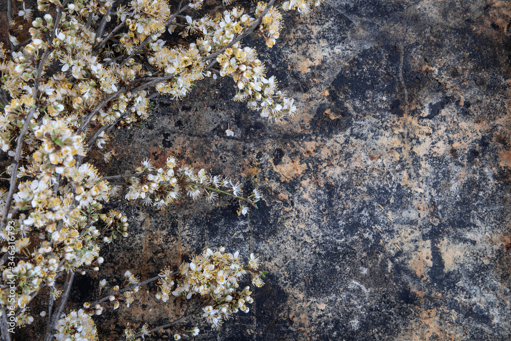 Spring rustic background with apple blossoms Spring rustic background with apple blossoms