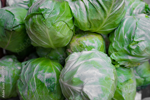 green cabbage in box, background.Organic vegetables business
