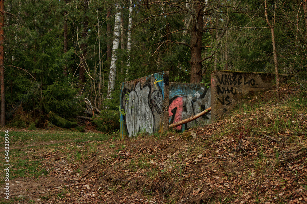 Forest graffiti 