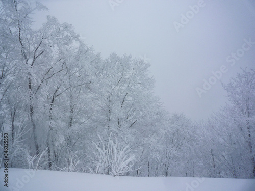吹雪が吹くスキー場のゲレンデのイメージ © kanzilyou
