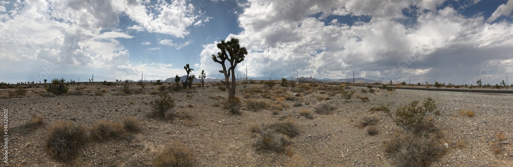 desert cactus sand sky blue brown sage weed landscape clouds desert cactus sand sky blue brown sage weed landscape clouds
