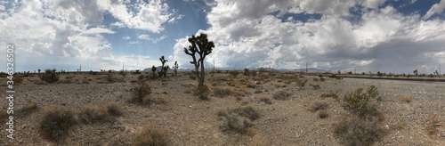 desert cactus sand sky blue brown sage weed landscape clouds