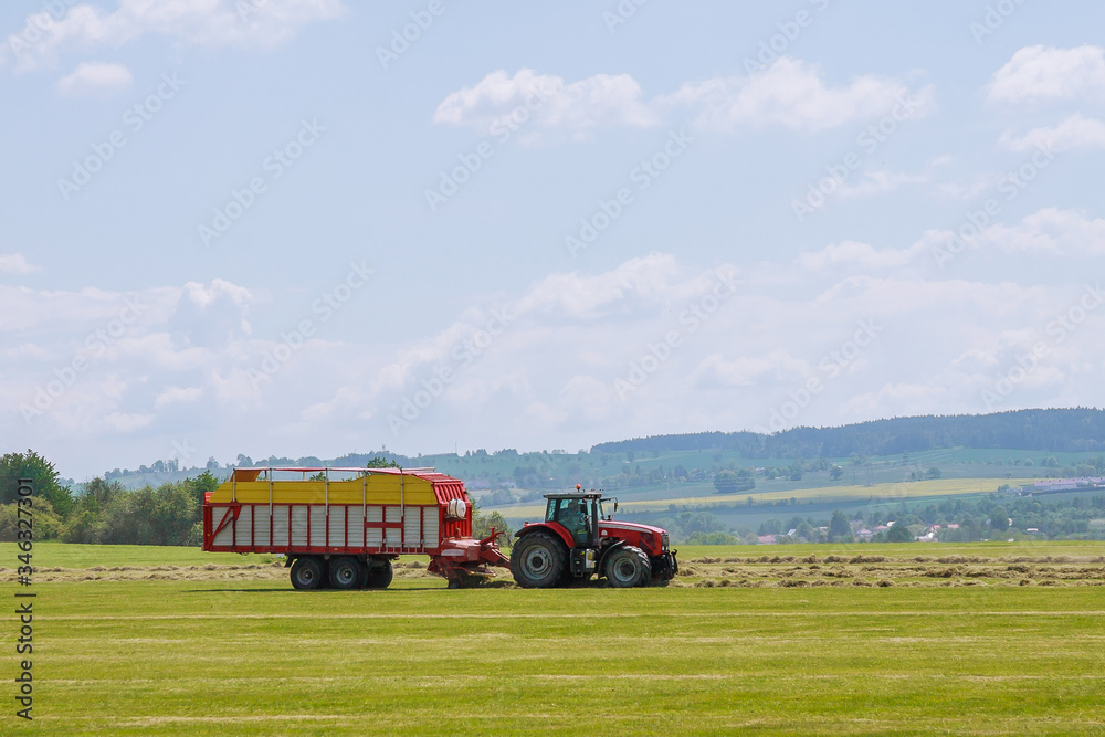 Obraz premium A red tractor rakes dry grass and places hay for loading and hauling.