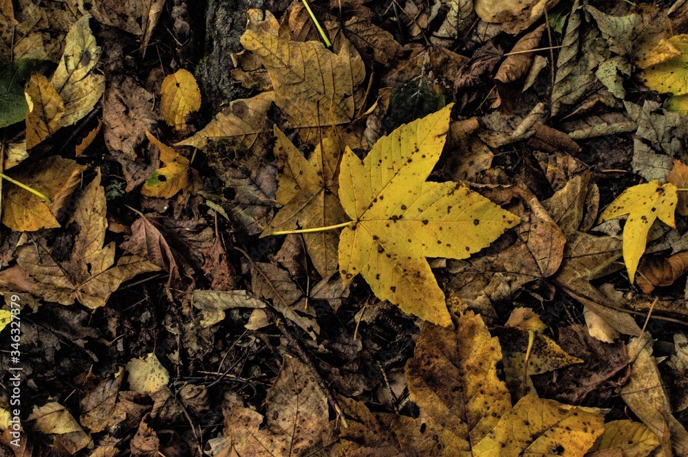 Cálida tarde de otoño Cálida tarde de otoño