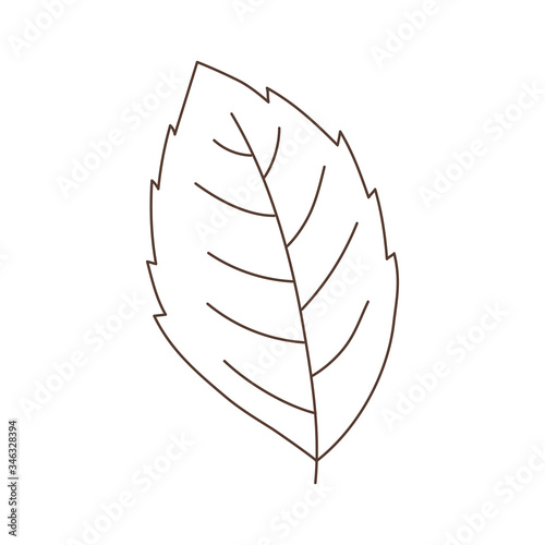 green mint leaf herbal isolated icon white background linear design