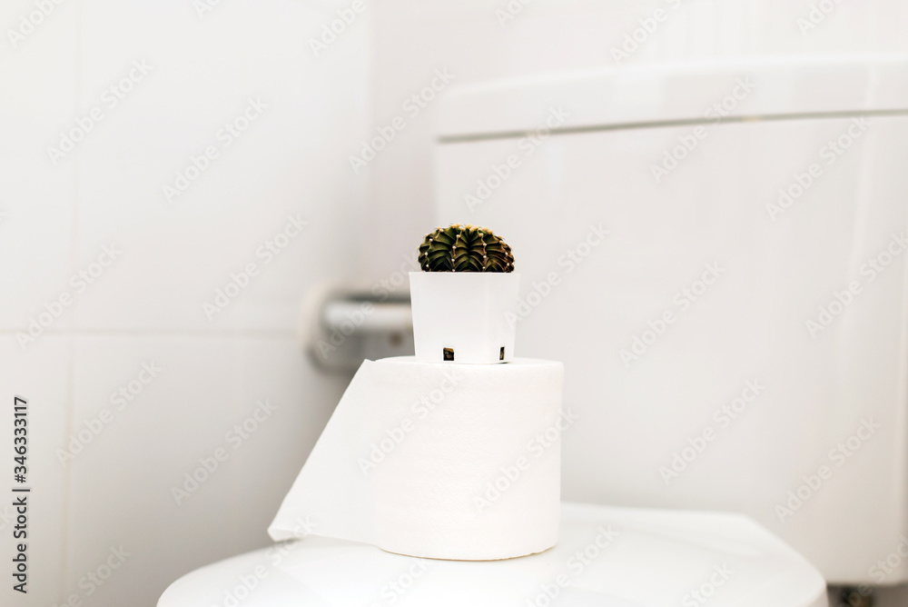 Beautiful green cactus in restroom,Concept for hemorrhoids,Constipation disease Beautiful green cactus in restroom,Concept for hemorrhoids,Constipation disease