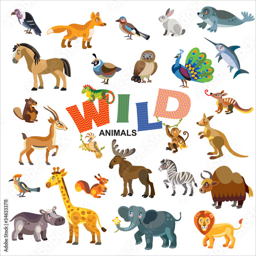 Wild animals vector set