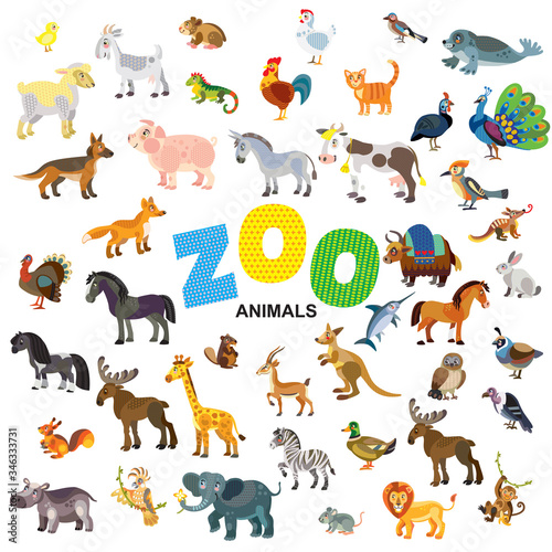 Fototapeta Naklejka Na Ścianę i Meble -  Zoo animals vector set
