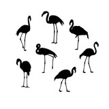 Set with black tropical Flamingo birds on a white background. For Wallpaper, textiles, wrapping paper, web pages, and other decor. Vector illustration.