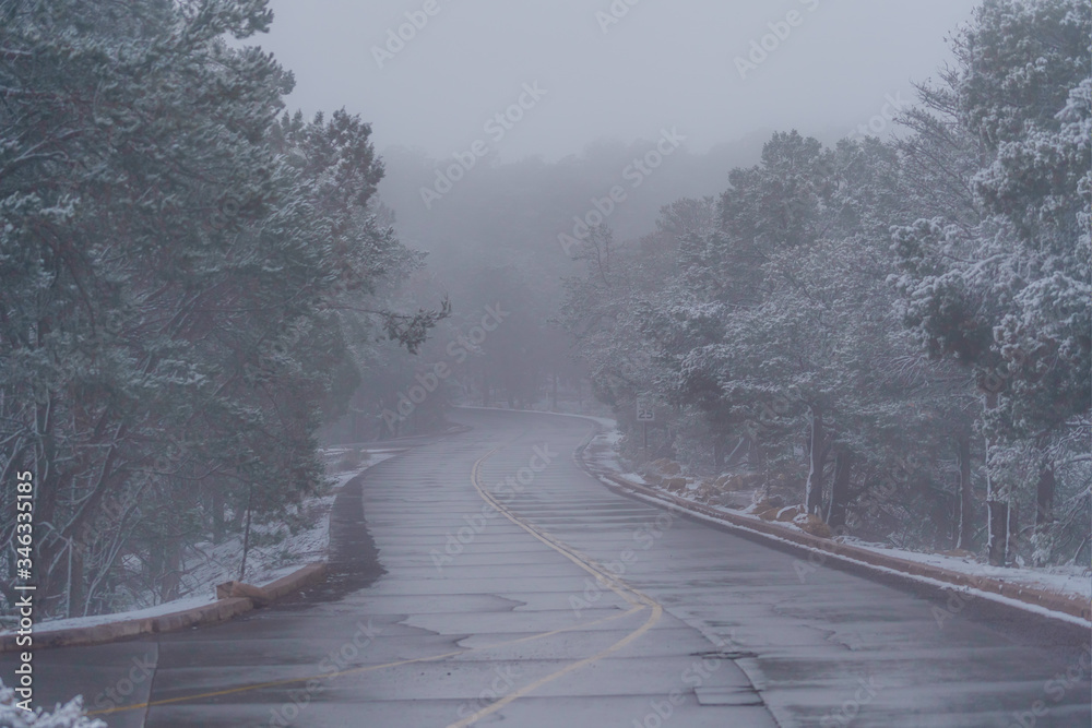 Fototapeta premium Foggy road