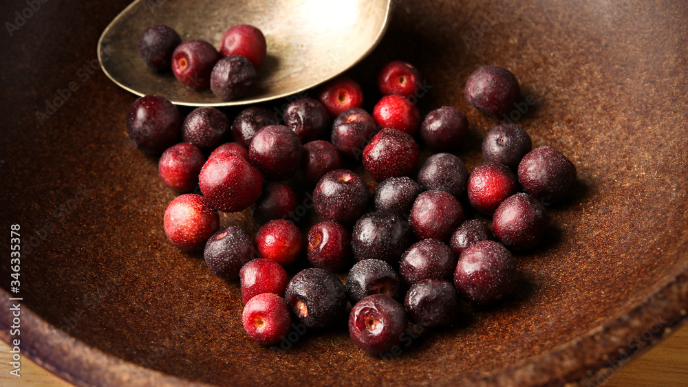 Grewia asiatica (Falsa or Phalsa) fruit in wooden pot
Grewia asiatica (Falsa or Phalsa) fruit in wooden pot