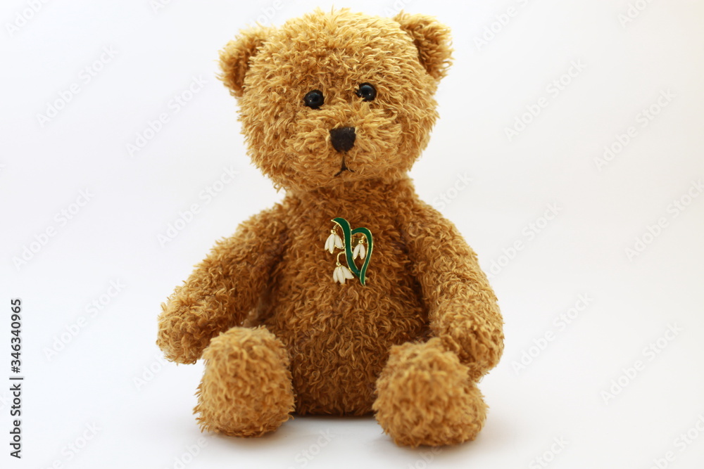 sitting brown toy teddy bear with a white flowers badge on his chest on a white background in a lightbox