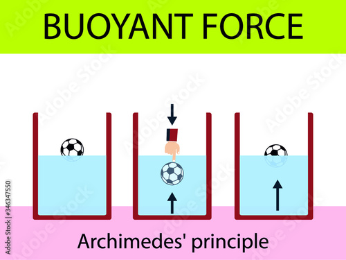 buoyancy of water. archimedes. Greek mathematician and inventor from Syracuse. Archimedes' principle. physics lesson water buoyancy photo