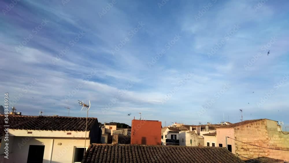 Roofs of Porto Cristo in Mallorca at sunset with thousands of swallows in the sky - motion lapse Roofs of Porto Cristo in Mallorca at sunset with thousands of swallows in the sky - motion lapse