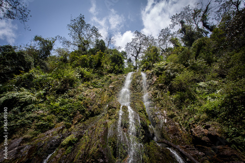 waterfall in the forest