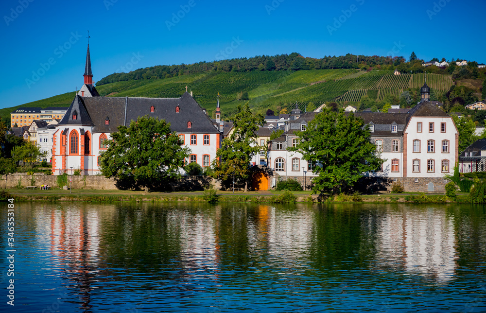 Shoreline of Cochem, Germany in the morning.CR2