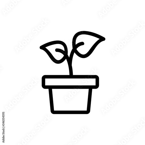 climbing plant in flower pot icon vector. climbing plant in flower pot sign. isolated contour symbol illustration