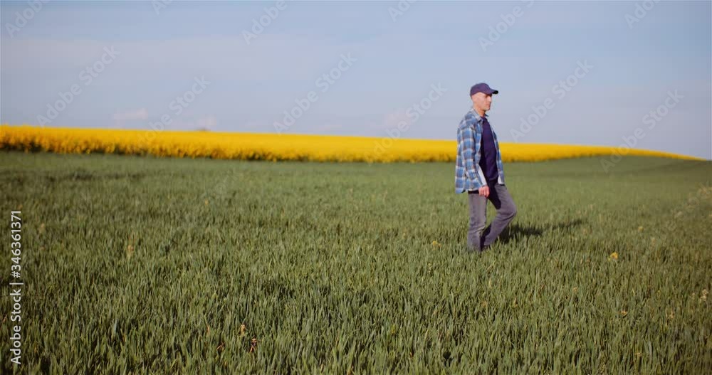 Agronomist Examining Crops And Using Digital Tablet On Field Agronomist Examining Crops And Using Digital Tablet On Field