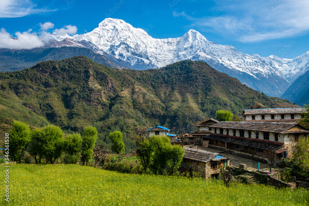Obraz premium Beautiful view of Annapurna range includes Mt.Annapurna South and Mt.Himchuli view from Ghandruk village in northern-central of Nepal. Ghandruk is most popular for wonderful Gurung culture in Nepal.
