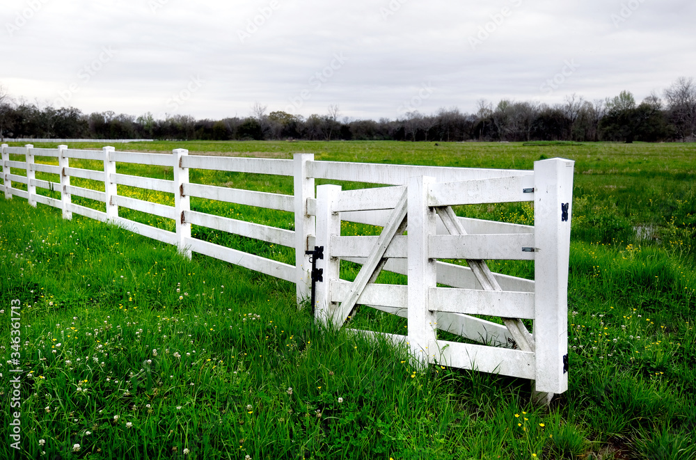 white fence and grass