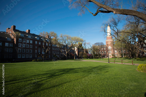 The College