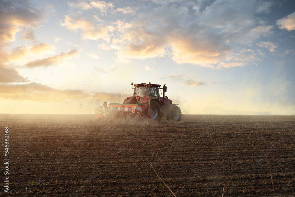 Fototapeta premium Traktor bei der Saat auf einem Feld