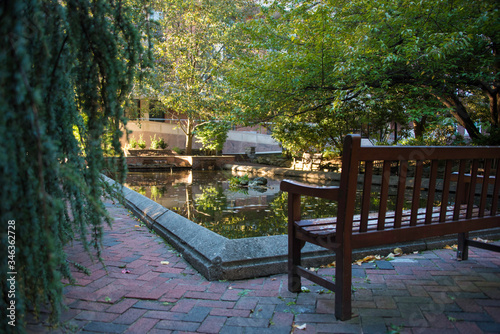 bench in the garden