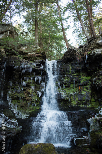 waterfall in the forest