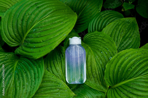 micelar water on green nature background. make up tonic, natural cosmetics photo
