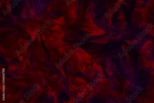 Soft and gentle dark vine red feathers boa background.