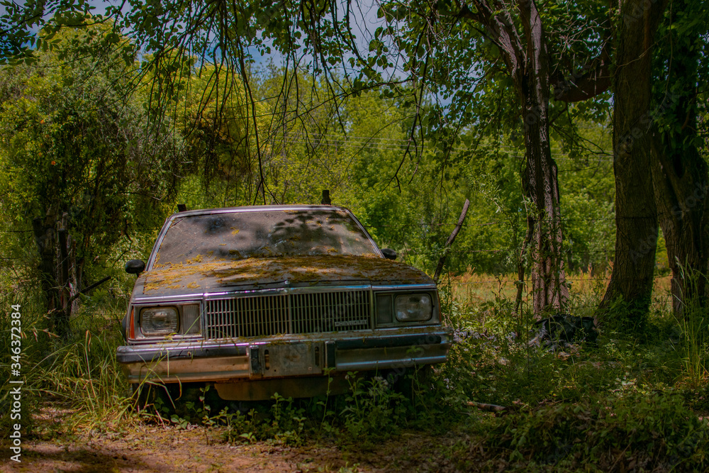 Fototapeta premium naturaleza y carro 